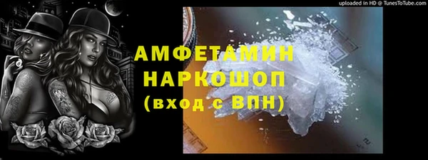 стаф Аркадак
