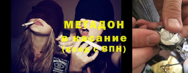 гашик Алексин