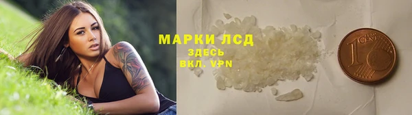 сатива Арсеньев