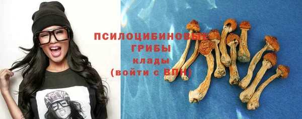 стаф Аркадак