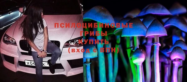 ECSTASY Алексеевка
