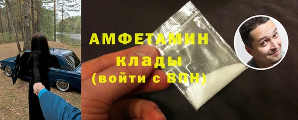 гашик Алексин