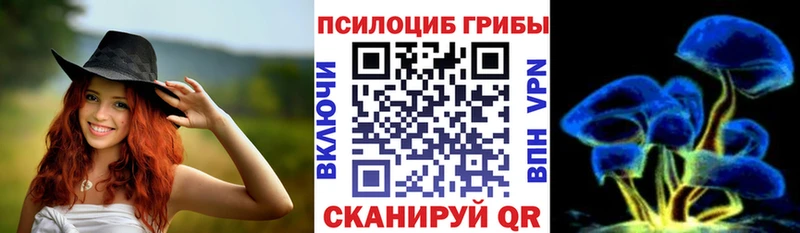 где купить наркотик  Таруса  Псилоцибиновые грибы MAGIC MUSHROOMS 